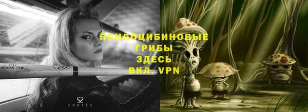 метадон Горнозаводск
