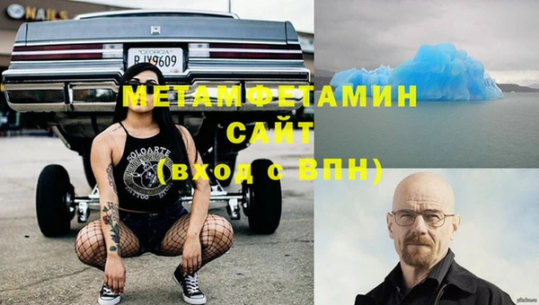 индика Ельня