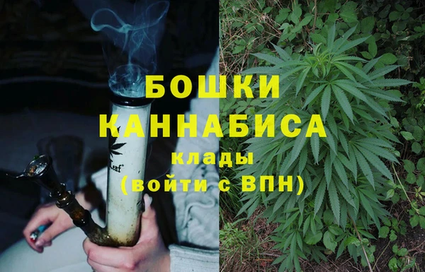 прущие грибы Иноземцево