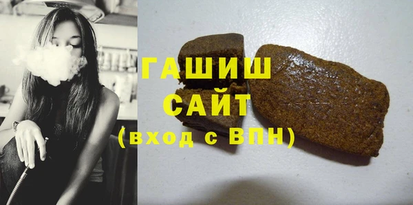 индика Ельня