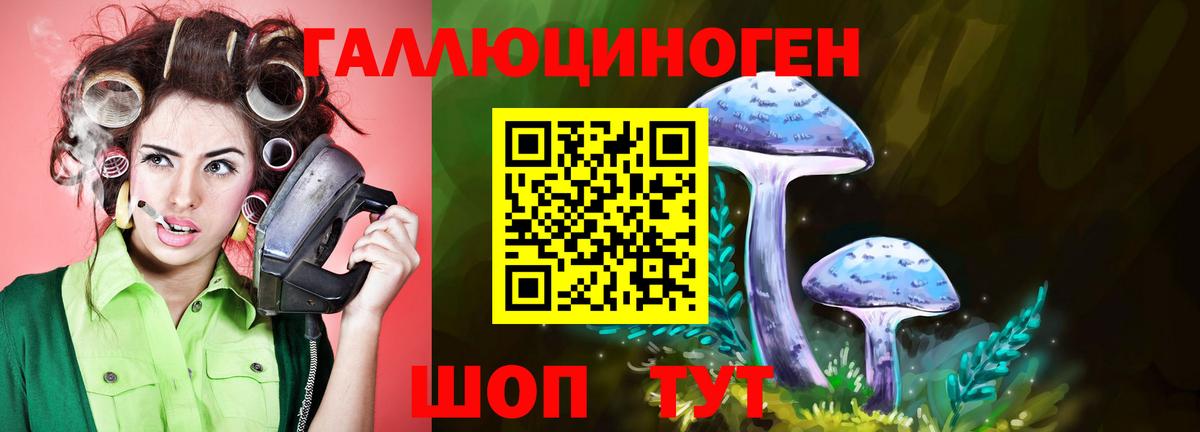 Псилоцибиновые грибы Cubensis  Галлюциногенные грибы Psilocybe  Джанкой 